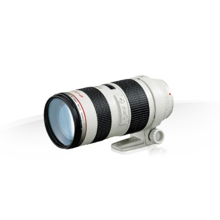 Canon EF 70-200mm f/2.8L USM