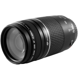 Canon EF 75-300mm f/4-5.6 III USM
