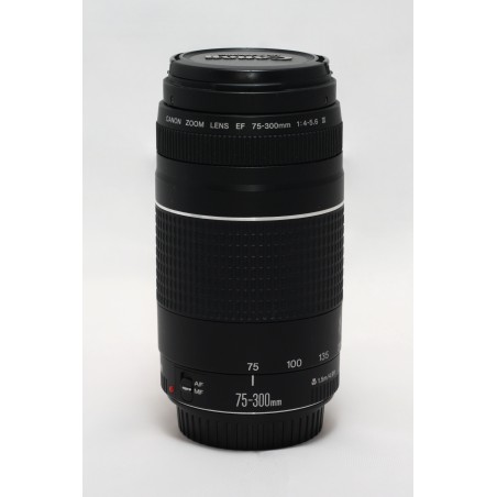 Canon EF 75-300mm f/4-5.6 III