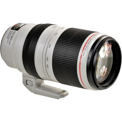 Canon EF 100-400mm f/4.5-5.6L IS II USM