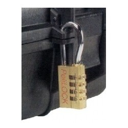 Fechamento de combinação por caso Peli