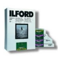 1x100 Ilford MG IV FB 1K 18x24 C.449211
