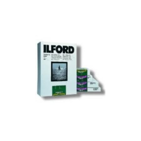 1x100 Ilford MG IV FB 1K 18x24 C.449211