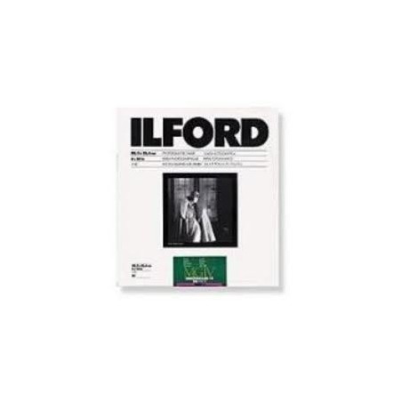 1x50 Ilford MG IV FB 24x31 (1K) C.517677