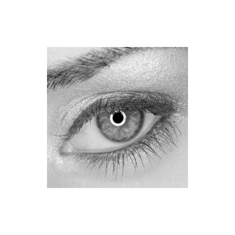 Olhos Falcon lâmpada LED Anel