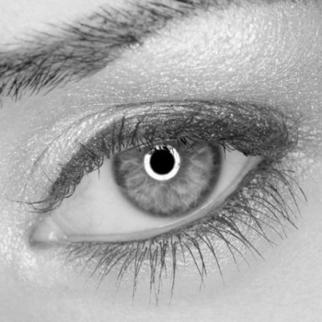 Olhos Falcon lâmpada LED Anel