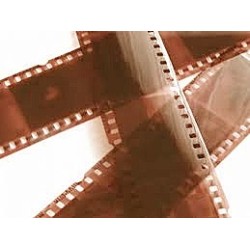 Só revelar cor 120/135/126/110