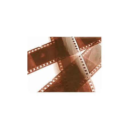 Só revelar cor 120/135/126/110