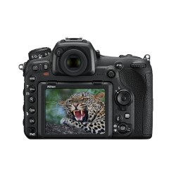 Nikon D500 2